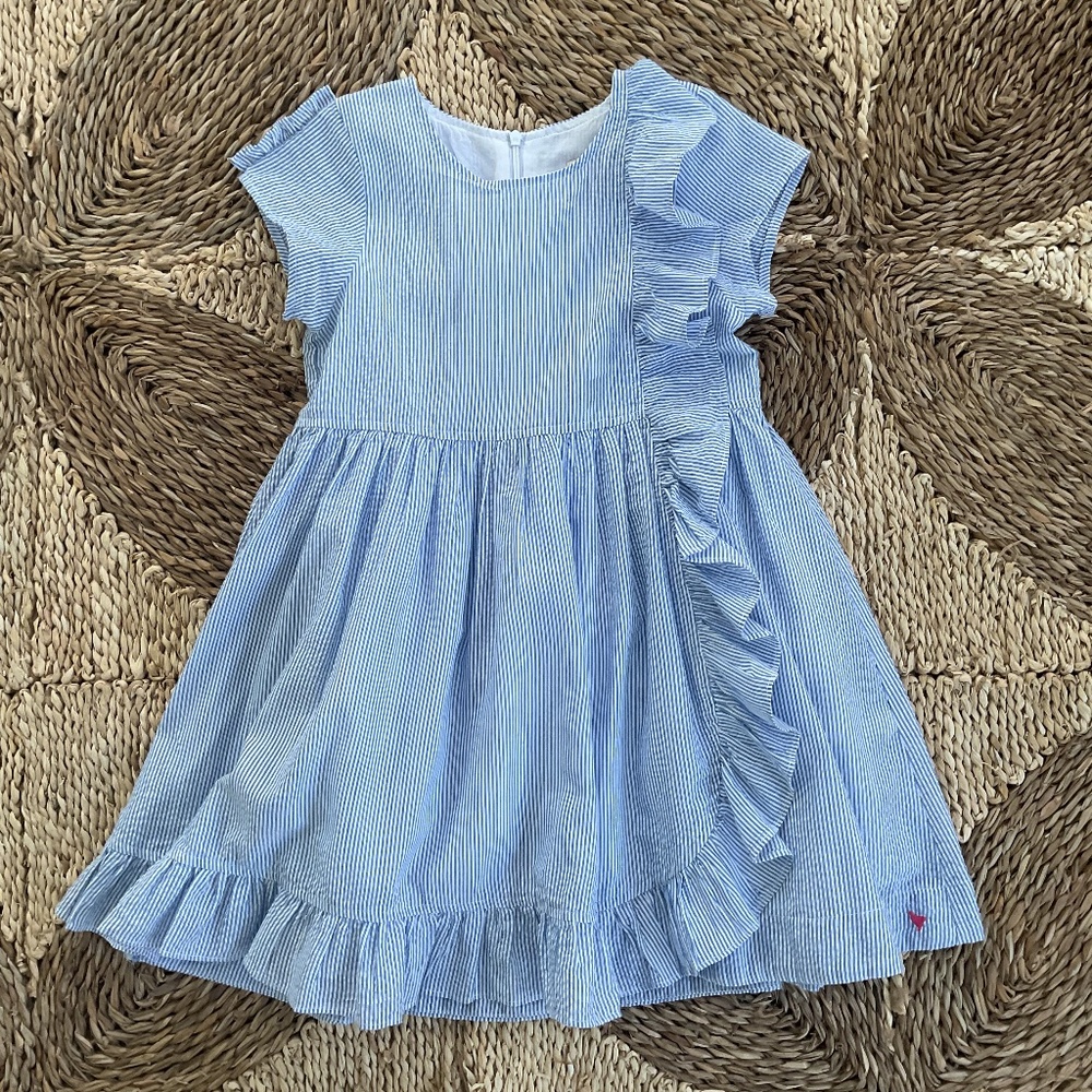 Pink Chicken Blue Seersucker Dress